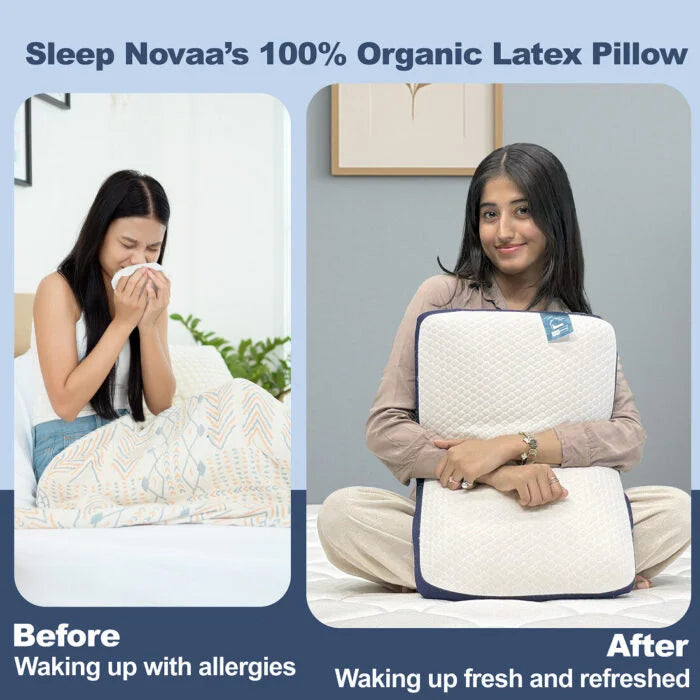 Latex Pillow