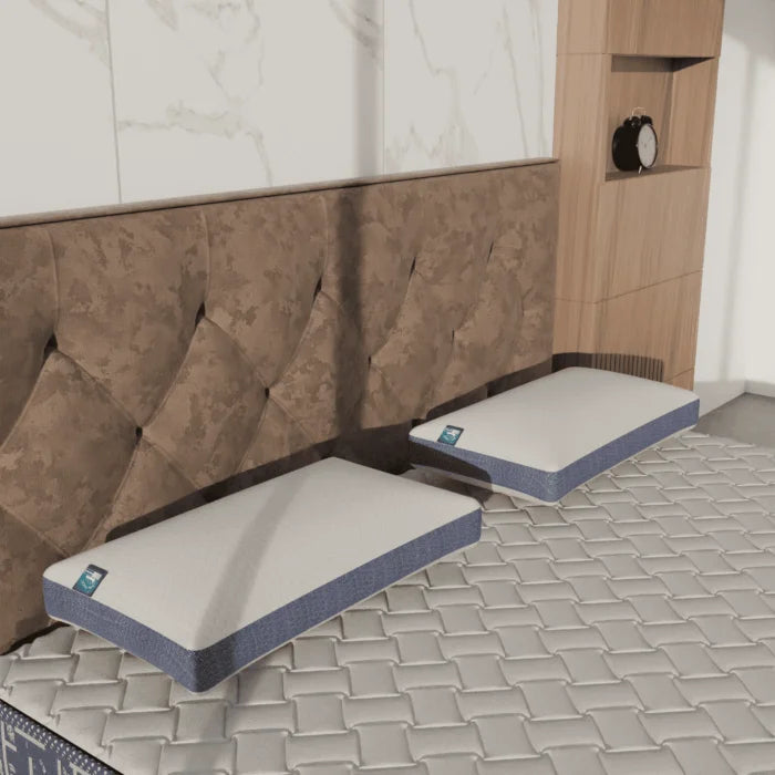 Latex Pillow